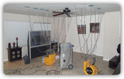 Water Damage Clean Up